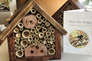 How To Attract Native Bees To Your Garden – Biome New Zealand