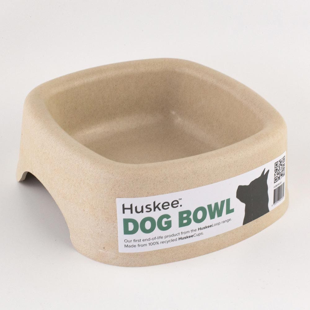 Buy on sale dog bowl