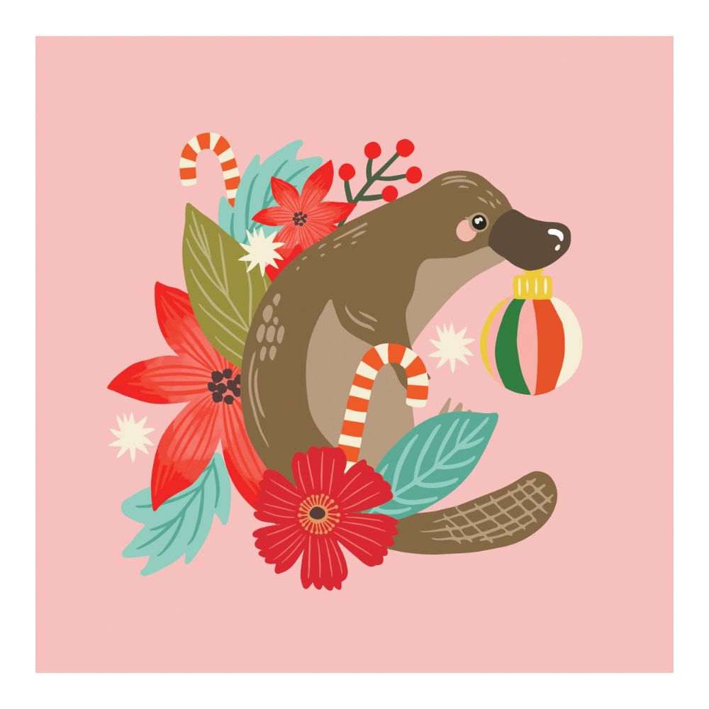 Aero Images Gift Card - Christmas Platypus