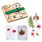 Djeco Do It Yourself Budding Botanist Set