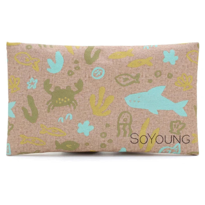 SoYoung No-Sweat Ice Pack for Lunch Boxes