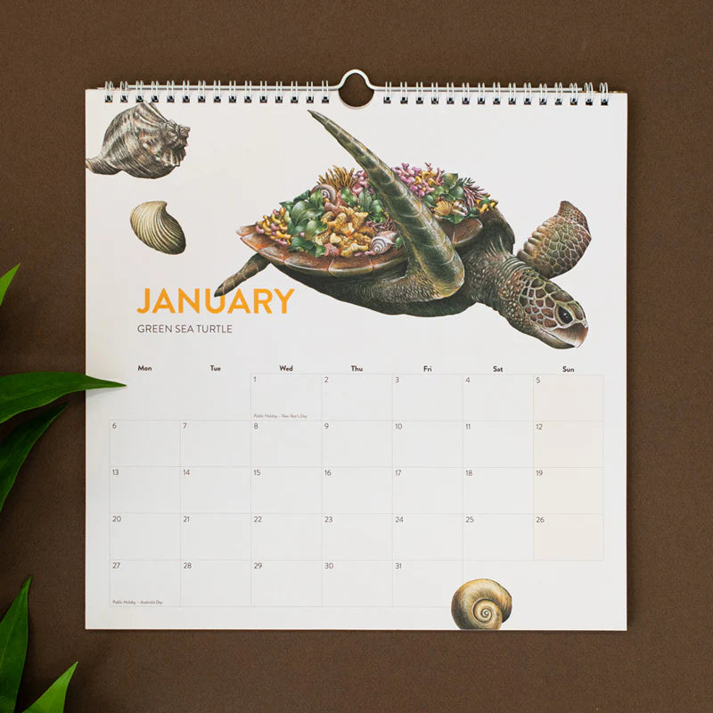 Marini Ferlazzo 2025 Calendar – Wild Australia