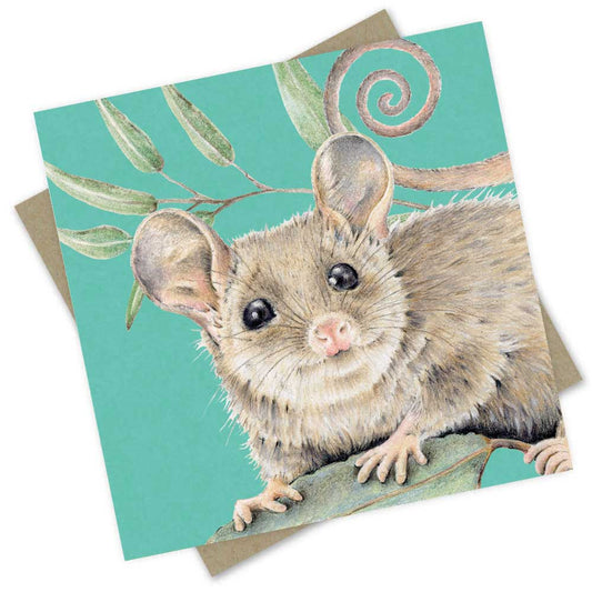 Popcorn Blue Pygmy Possum Green Greeting Card