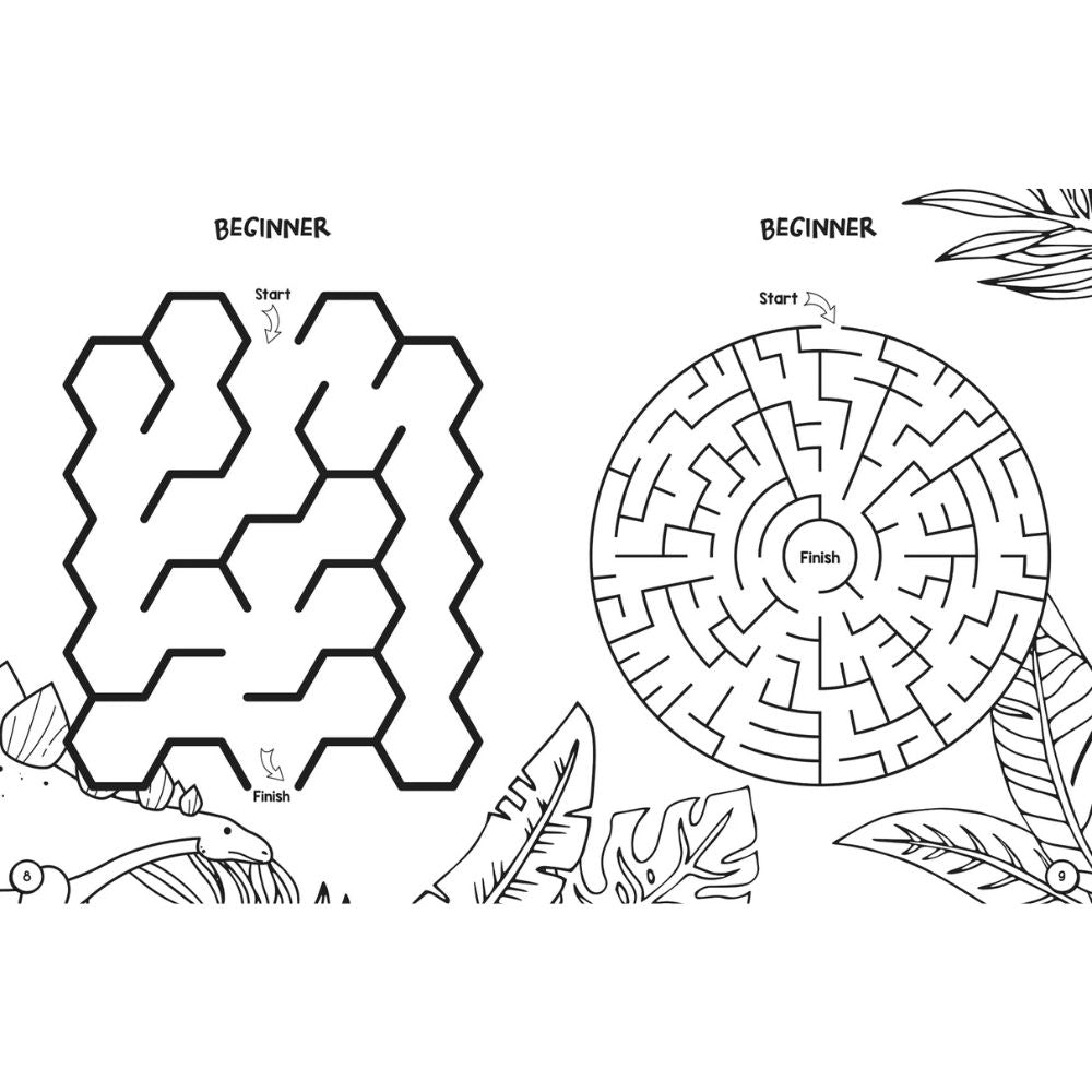 Colouring & Maze Book - Dinosaurs