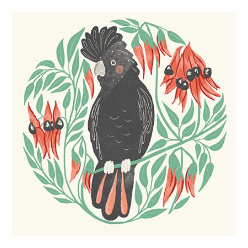 Aero Images Gift Card - Black Cockatoo