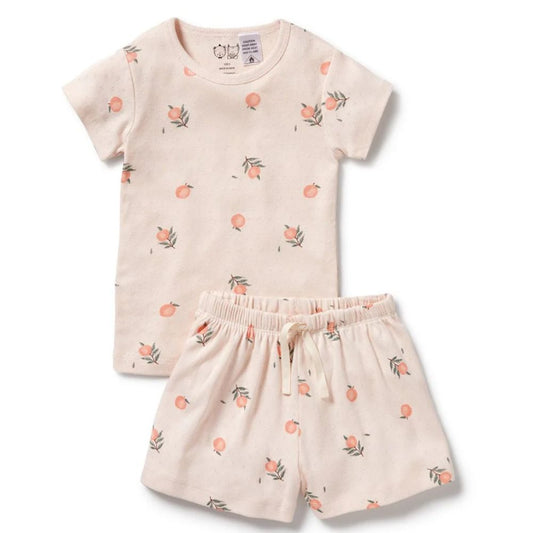 Wilson & Frenchy Organic Pointelle Short Sleeved Pyjamas - Peaches