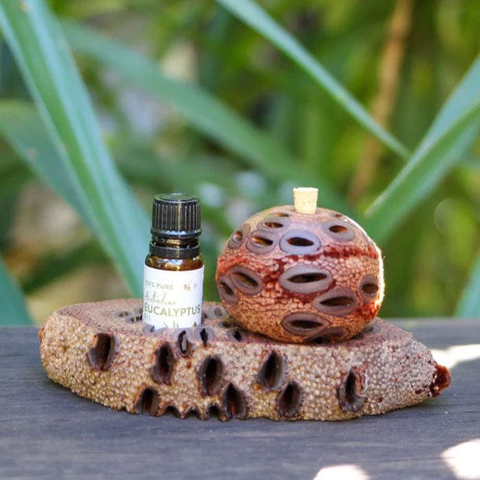 Banksia Aroma Pod & Essential Oil STAND