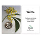 Good Do Good Hook Earrings - Wattle