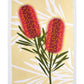 Wilson Payne Tea Towel Bottlebrush