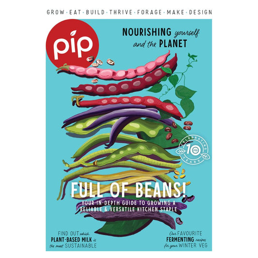 Pip Magazine - Issue 33