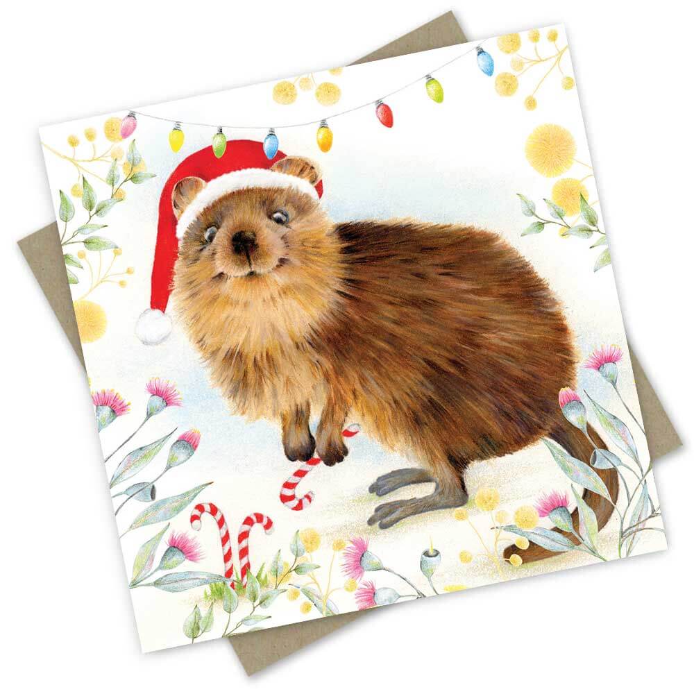 Popcorn Blue Quokka Christmas Card