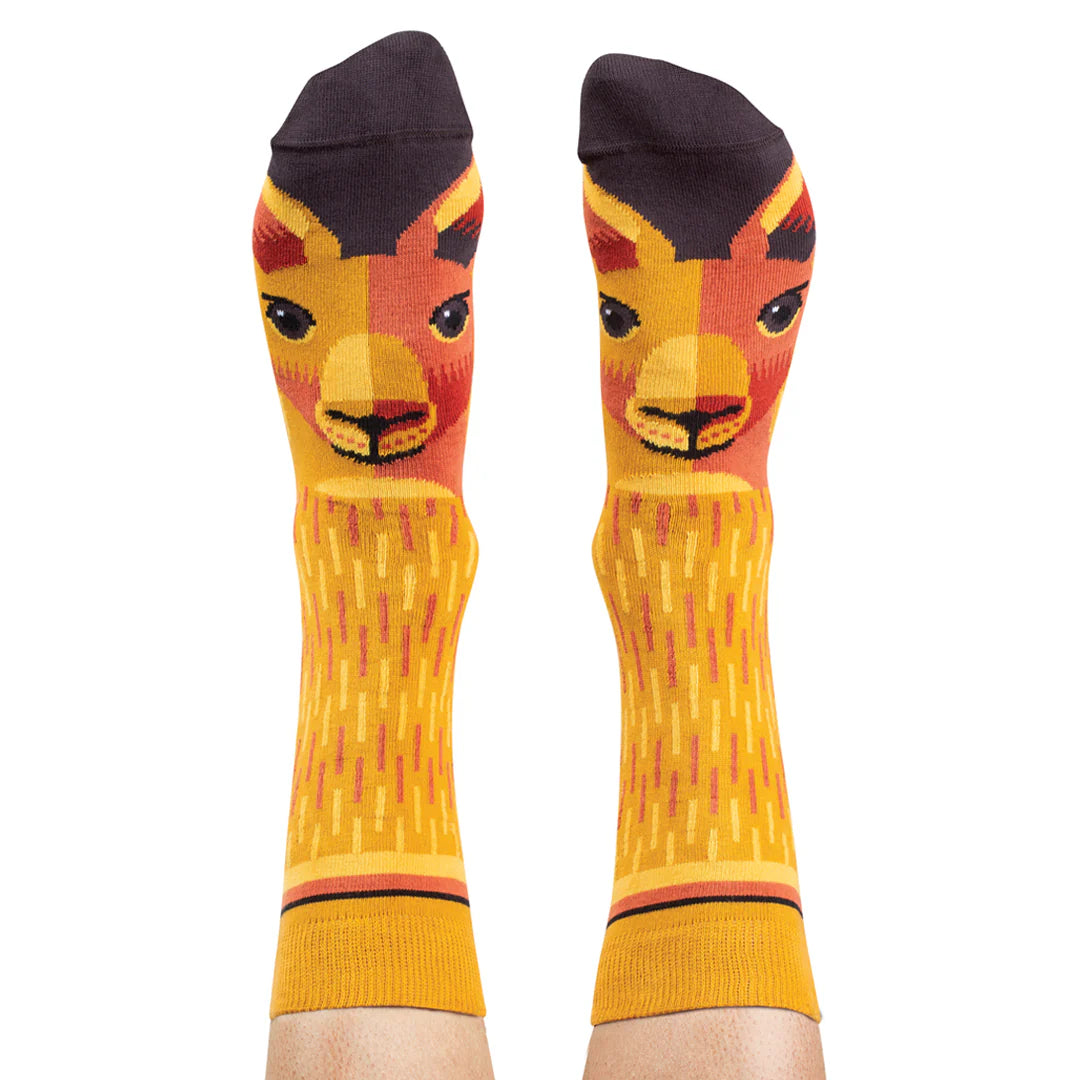 Socks & Jocks Bundle - Kangaroo