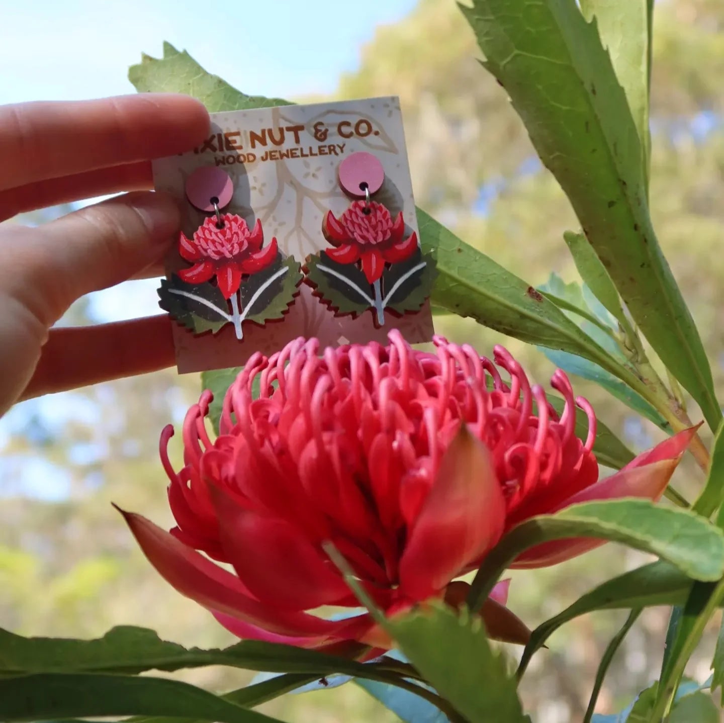 Pixie Nut and Co Waratah Earrings