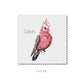 Animal Magic Cross Stitch Kit - Galah