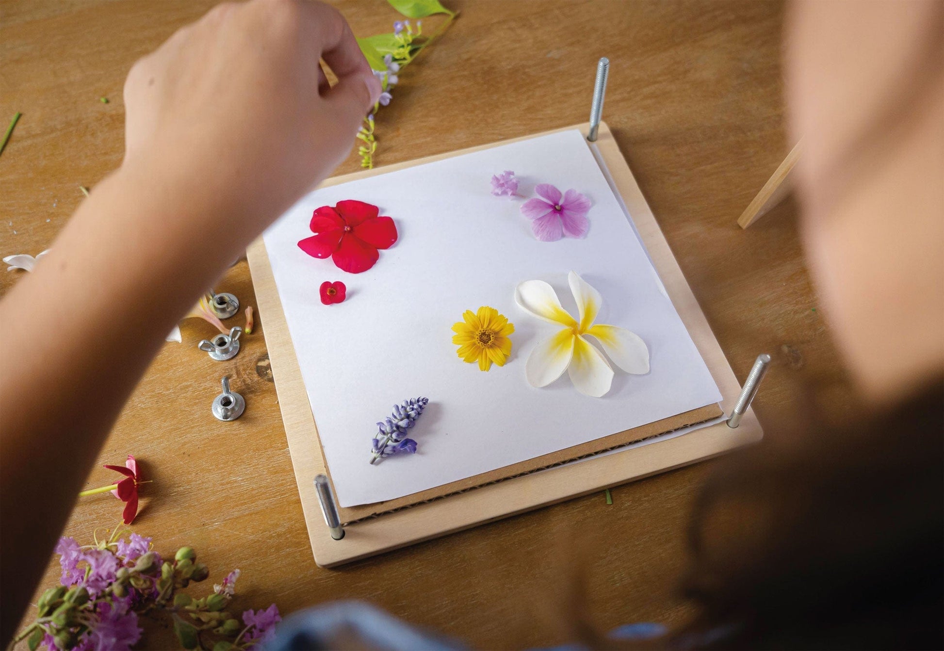 Tender Leaf Toys My Botanical Flower Press