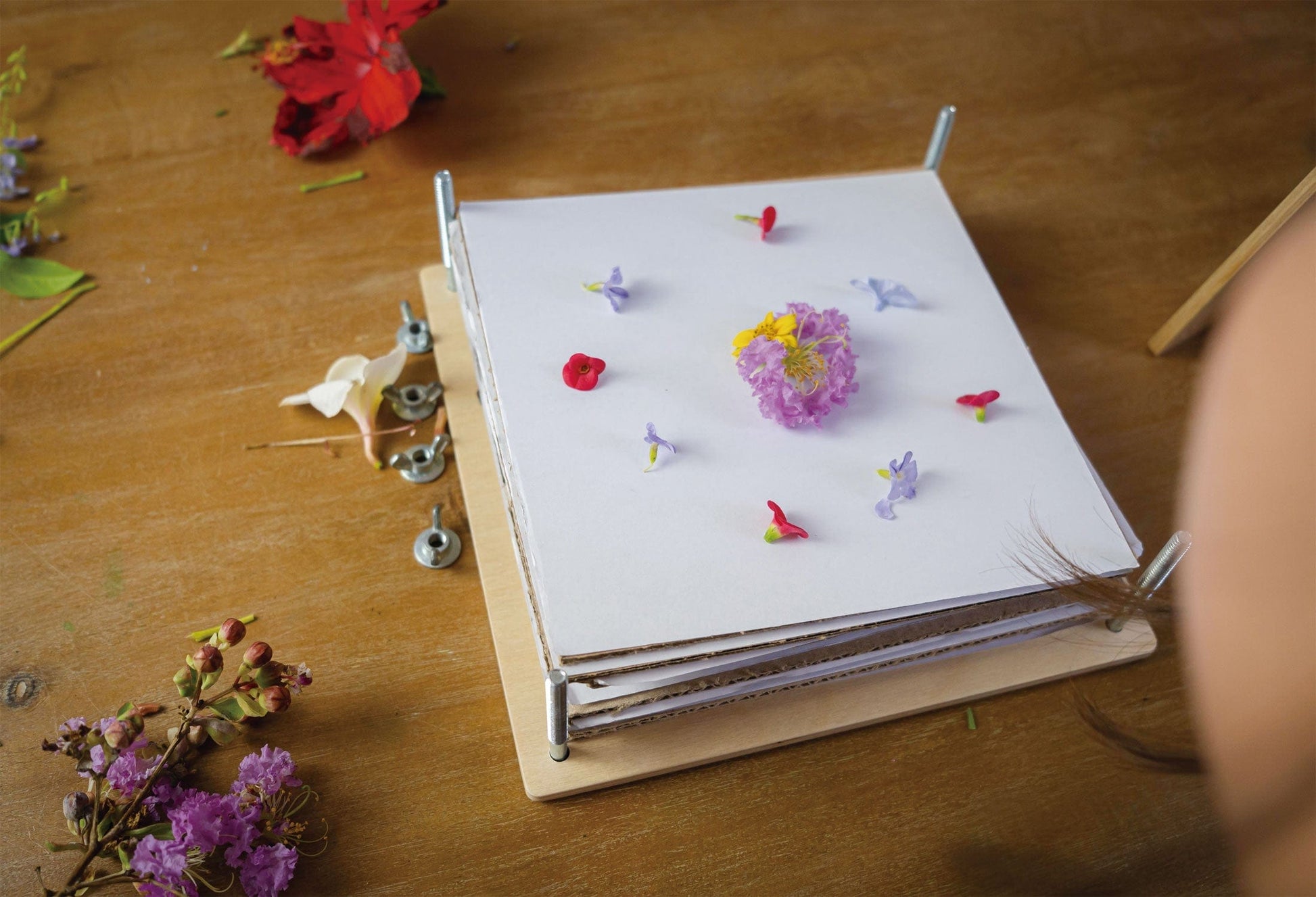 Tender Leaf Toys My Botanical Flower Press