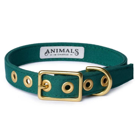 Forest green deals dog collar