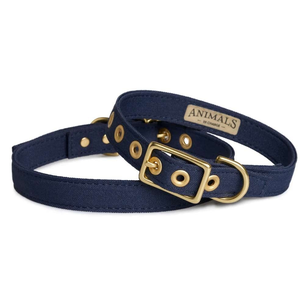 Animals In Charge All Weather Dog Collar - Navy Brass