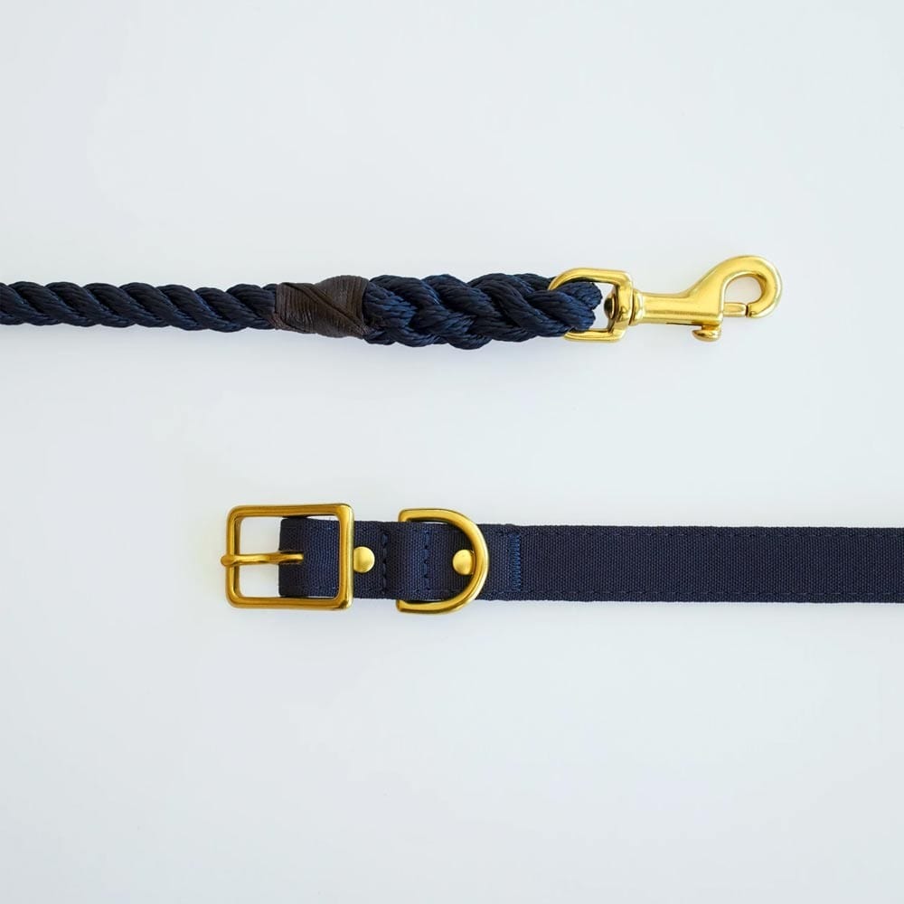 Animals In Charge All Weather Dog Collar - Navy Brass