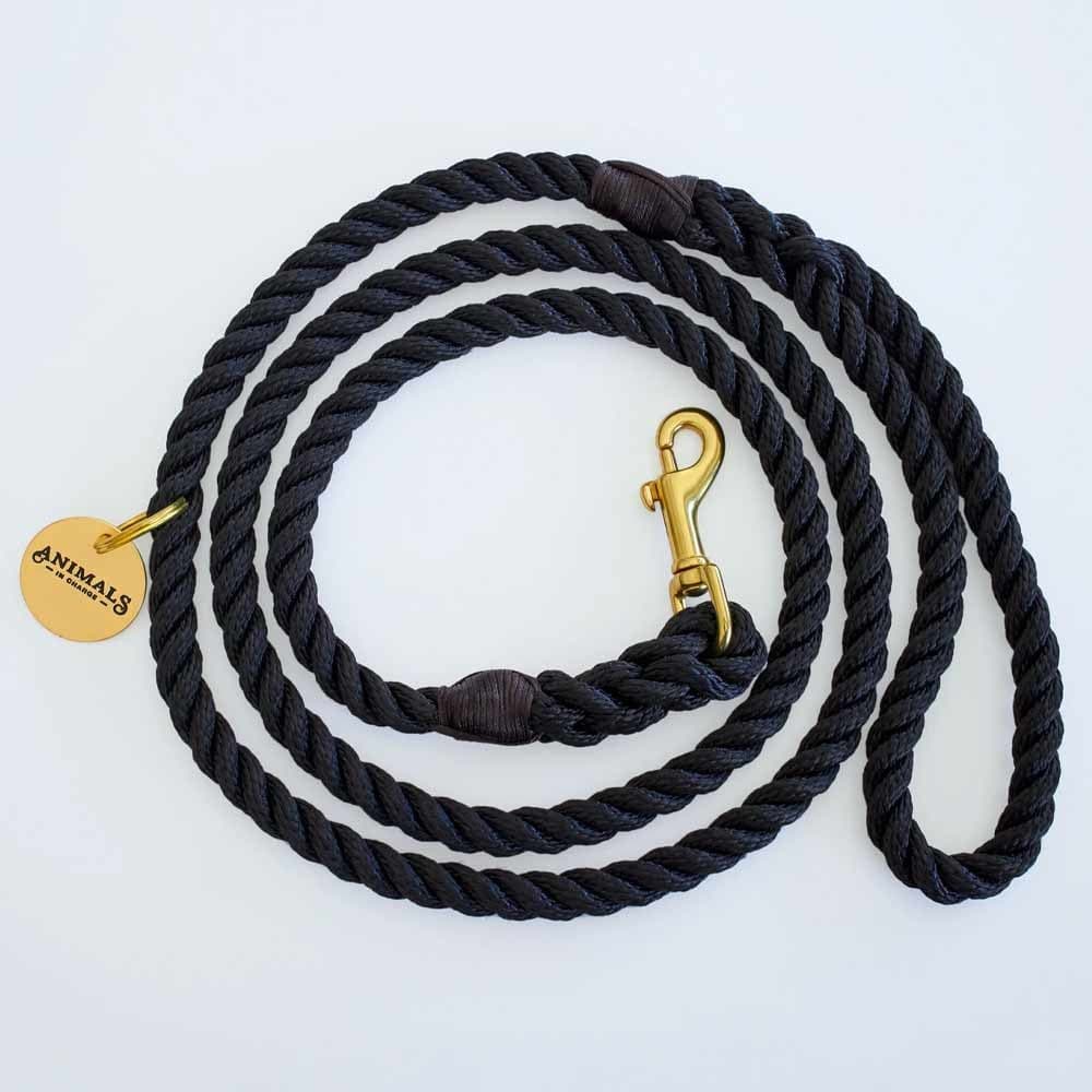 Dog rope store online shopping