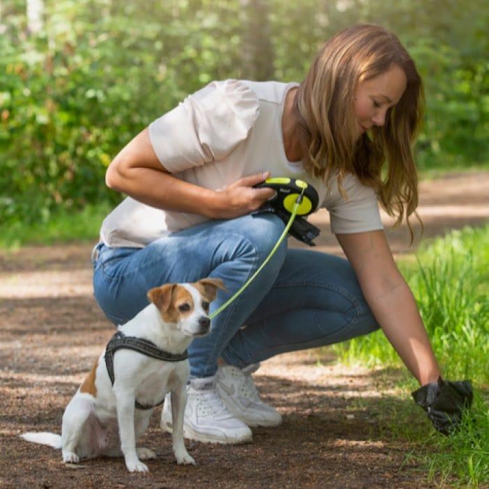 BioBag biodegradable dog waste bags - 50 bags black bundle