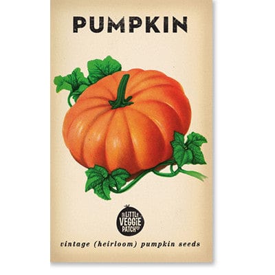 Little Veggie Patch Heirloom seeds - pumpkin small sugar