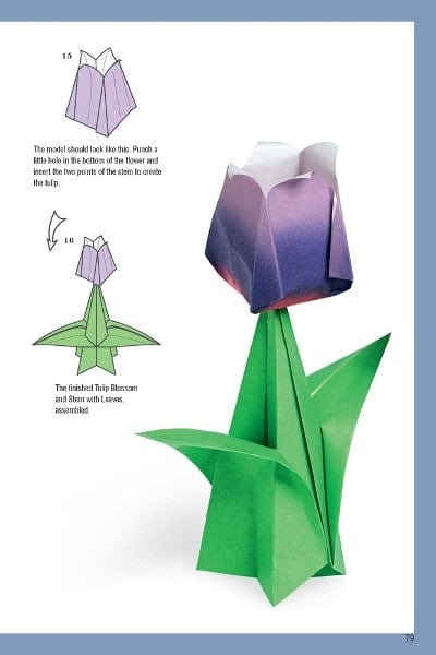 Origami Made Easy Kit