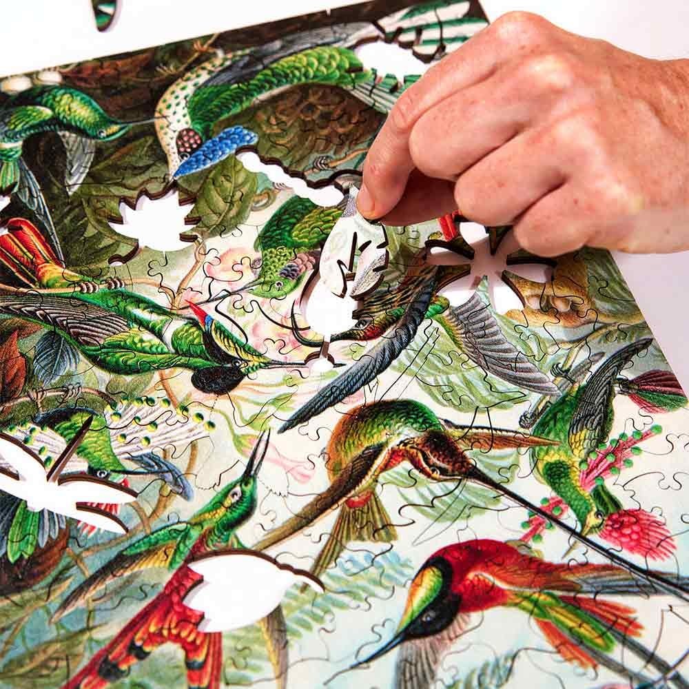 Twigg Puzzles Ernst Haeckel Hummingbirds - 228 Piece