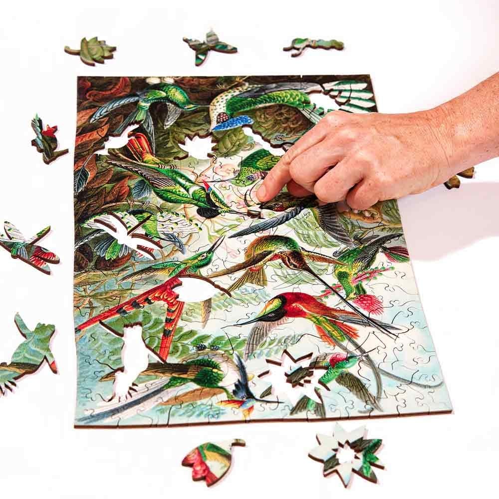 Twigg Puzzles Ernst Haeckel Hummingbirds - 228 Piece